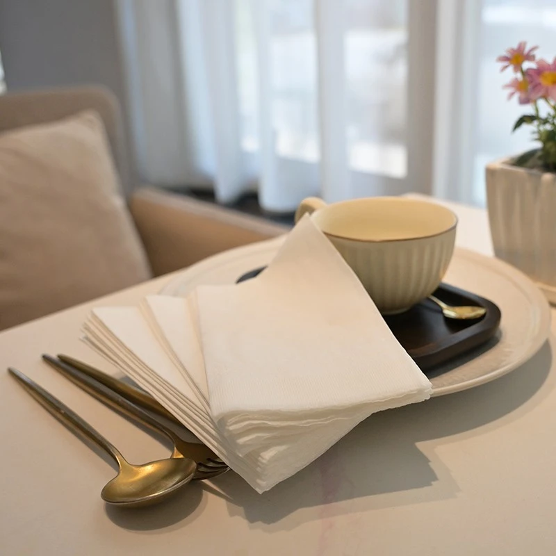 Disposable Dinner Napkins best